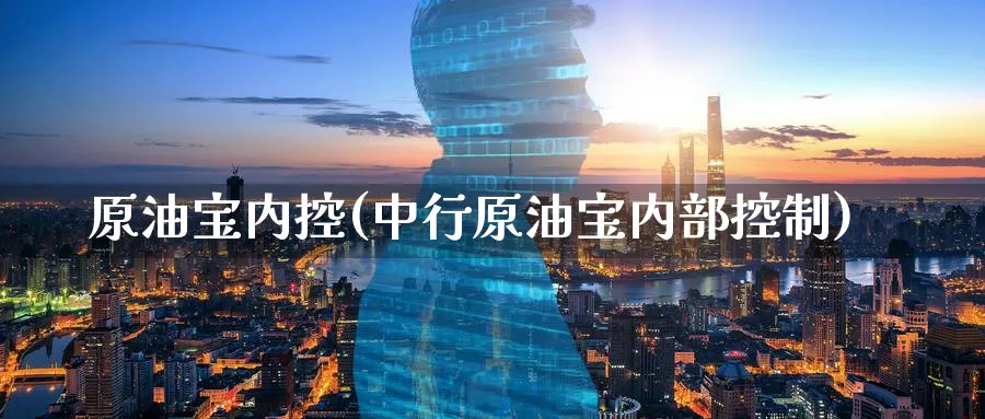 原油宝内控(中行原油宝内部控制)_https://www.nyyysy.com_期货平台_第1张