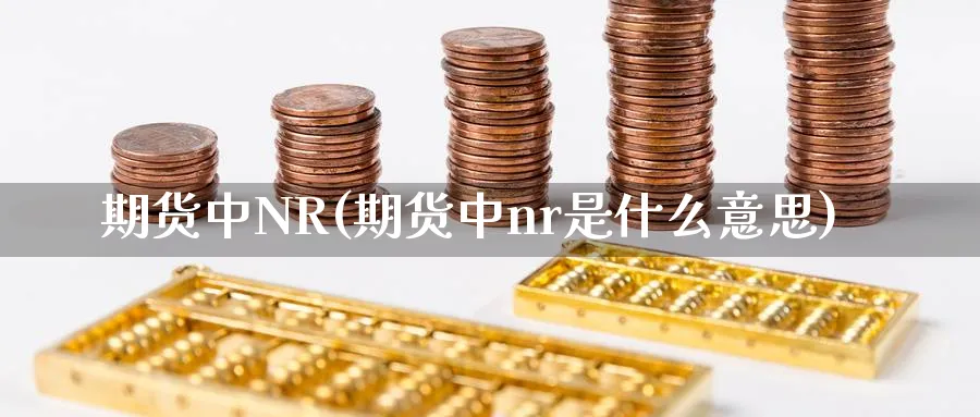 期货中NR(期货中nr是什么意思)_https://www.nyyysy.com_期货平台_第1张