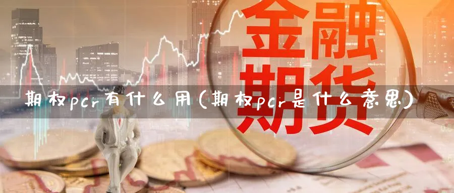 期权pcr有什么用(期权pcr是什么意思)_https://www.nyyysy.com_期货分析_第1张