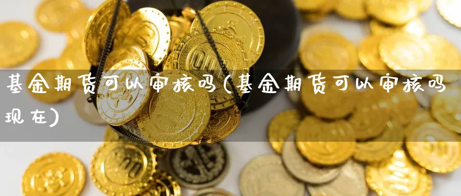 基金期货可以审核吗(基金期货可以审核吗现在)_https://www.nyyysy.com_期货行情_第1张