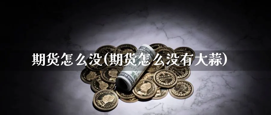 期货怎么没(期货怎么没有大蒜)_https://www.nyyysy.com_期货喊单_第1张