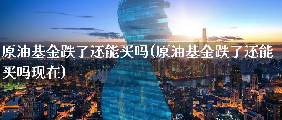 原油基金跌了还能买吗(原油基金跌了还能买吗现在)_https://www.nyyysy.com_期货平台_第1张