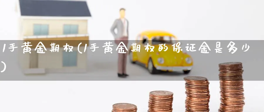 1手黄金期权(1手黄金期权的保证金是多少)_https://www.nyyysy.com_期货行情_第1张