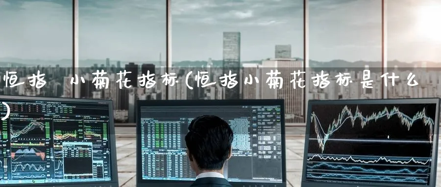 恒指  小菊花指标(恒指小菊花指标是什么)_https://www.nyyysy.com_期货分析_第1张