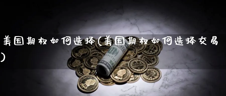 美国期权如何选择(美国期权如何选择交易)_https://www.nyyysy.com_期货喊单_第1张