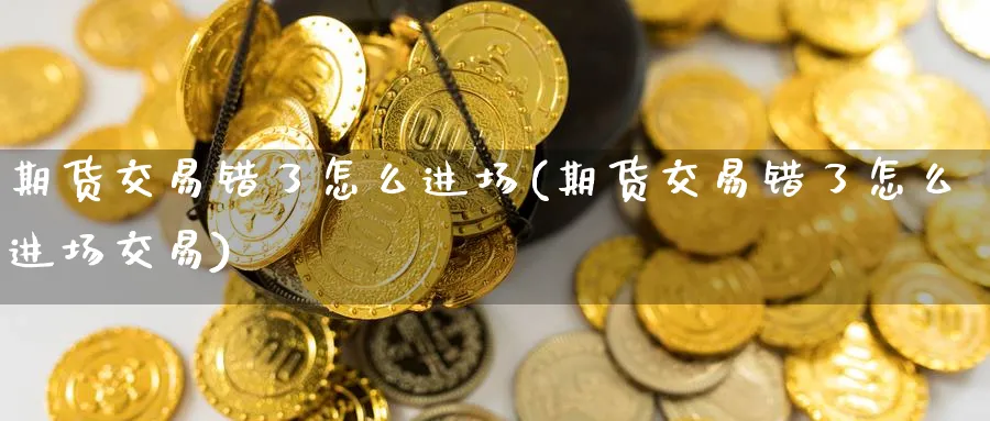 期货交易错了怎么进场(期货交易错了怎么进场交易)_https://www.nyyysy.com_期货喊单_第1张