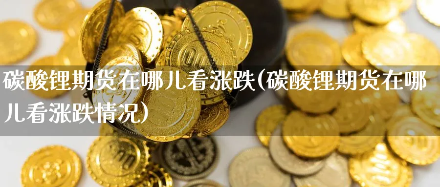 碳酸锂期货在哪儿看涨跌(碳酸锂期货在哪儿看涨跌情况)_期货喊单_第1张_南严期货 碳酸锂期货在哪儿看涨跌(碳酸锂期货在哪儿看涨跌情况)_https://www.nyyysy.com_期货喊单_第1张