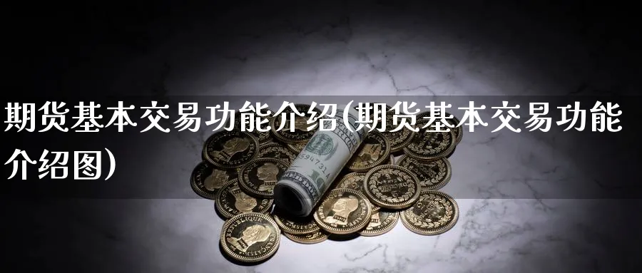 期货基本交易功能介绍(期货基本交易功能介绍图)_https://www.nyyysy.com_期货平台_第1张