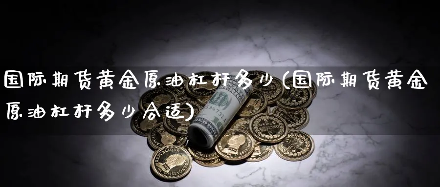 国际期货黄金原油杠杆多少(国际期货黄金原油杠杆多少合适)_https://www.nyyysy.com_期货分析_第1张