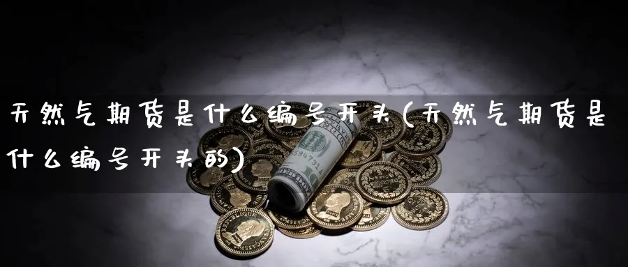 天然气期货是什么编号开头(天然气期货是什么编号开头的)_https://www.nyyysy.com_期货分析_第1张
