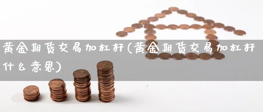 黄金期货交易加杠杆(黄金期货交易加杠杆什么意思)_https://www.nyyysy.com_期货行情_第1张