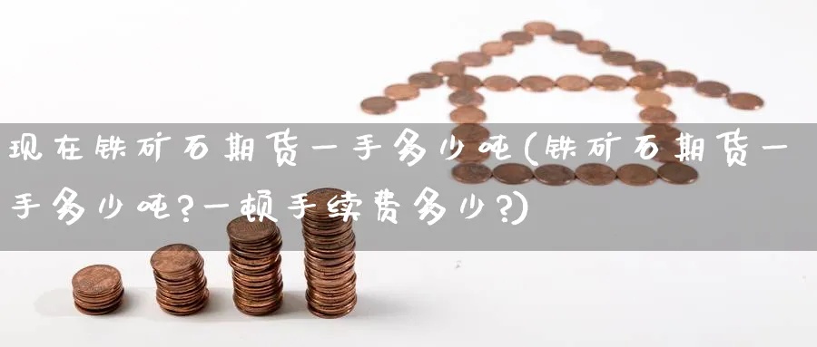 现在铁矿石期货一手多少吨(铁矿石期货一手多少吨?一顿手续费多少?)_https://www.nyyysy.com_期货市场_第1张