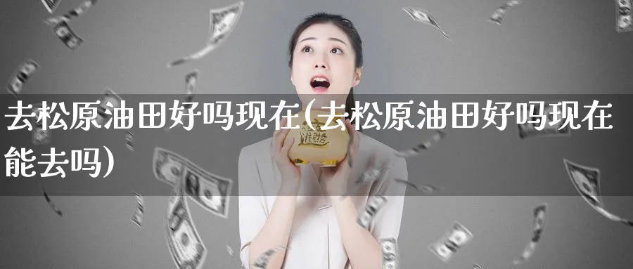 去松原油田好吗现在(去松原油田好吗现在能去吗)_https://www.nyyysy.com_期货行情_第1张