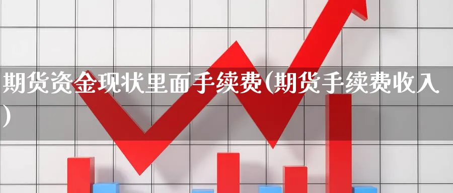 期货资金现状里面手续费(期货手续费收入)_https://www.nyyysy.com_期货喊单_第1张