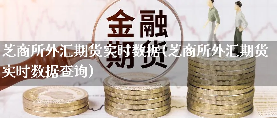 芝商所外汇期货实时数据(芝商所外汇期货实时数据查询)_https://www.nyyysy.com_期货平台_第1张