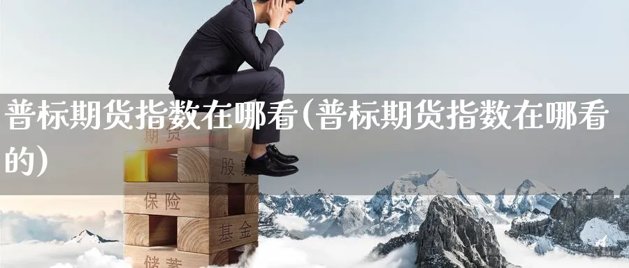 普标期货指数在哪看(普标期货指数在哪看的)_https://www.nyyysy.com_期货市场_第1张