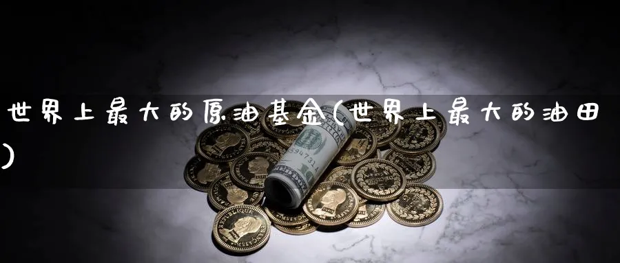 世界上最大的原油基金(世界上最大的油田)_https://www.nyyysy.com_期货市场_第1张