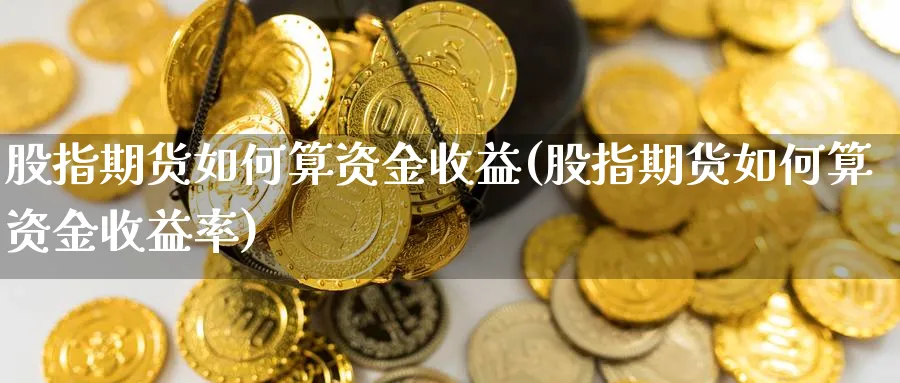 股指期货如何算资金收益(股指期货如何算资金收益率)_期货平台_第1张_南严期货 股指期货如何算资金收益(股指期货如何算资金收益率)_https://www.nyyysy.com_期货平台_第1张