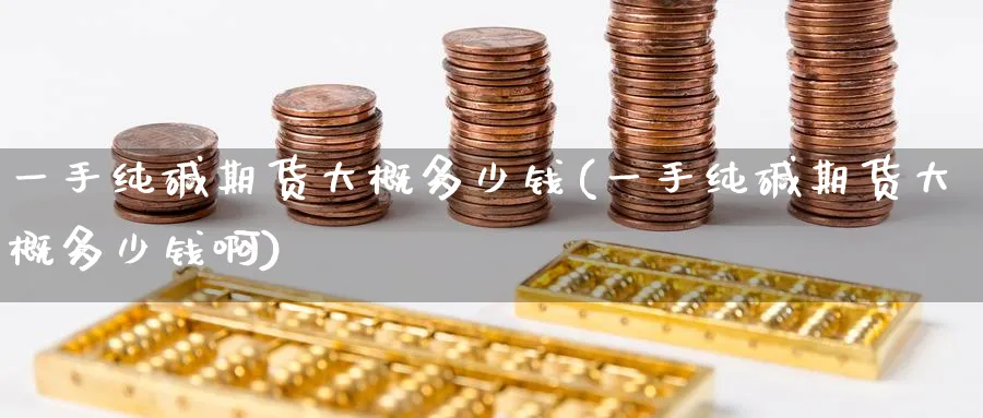 一手纯碱期货大概多少钱(一手纯碱期货大概多少钱啊)_https://www.nyyysy.com_期货直播_第1张