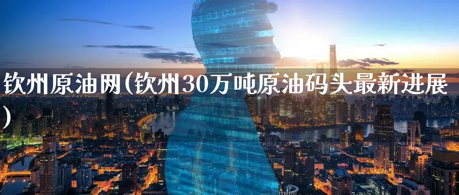 钦州原油网(钦州30万吨原油码头最新进展)_https://www.nyyysy.com_期货平台_第1张
