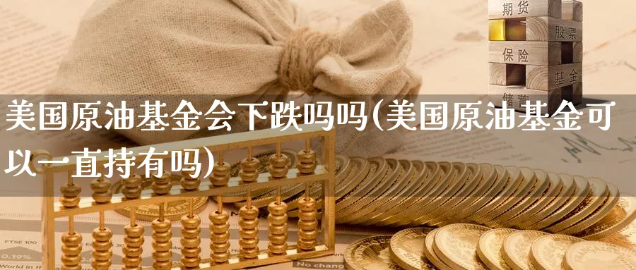 美国原油基金会下跌吗吗(美国原油基金可以一直持有吗)_https://www.nyyysy.com_期货行情_第1张