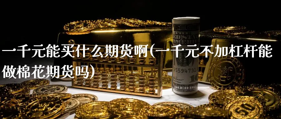 一千元能买什么期货啊(一千元不加杠杆能做棉花期货吗)_https://www.nyyysy.com_期货平台_第1张