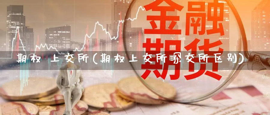 期权 上交所(期权上交所深交所区别)_https://www.nyyysy.com_期货直播_第1张