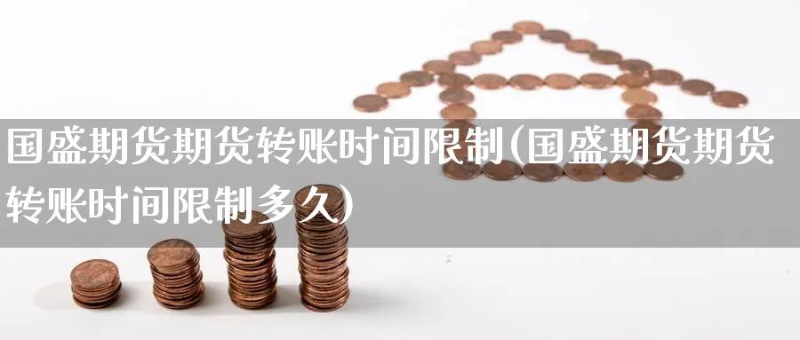 国盛期货期货转账时间限制(国盛期货期货转账时间限制多久)_https://www.nyyysy.com_期货分析_第1张