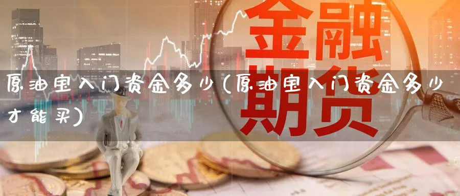 原油宝入门资金多少(原油宝入门资金多少才能买)_https://www.nyyysy.com_期货市场_第1张