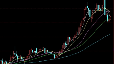 上证期货网(上证期货交易所)_https://www.nyyysy.com_期货直播_第1张