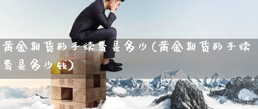 黄金期货的手续费是多少(黄金期货的手续费是多少钱)_https://www.nyyysy.com_期货平台_第1张