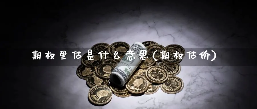 期权里估是什么意思(期权估价)_https://www.nyyysy.com_期货平台_第1张
