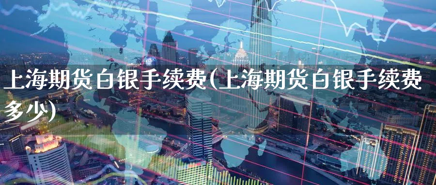 上海期货白银手续费(上海期货白银手续费多少)_https://www.nyyysy.com_期货平台_第1张