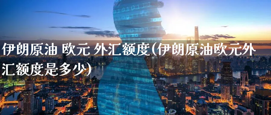 伊朗原油 欧元 外汇额度(伊朗原油欧元外汇额度是多少)_https://www.nyyysy.com_期货喊单_第1张