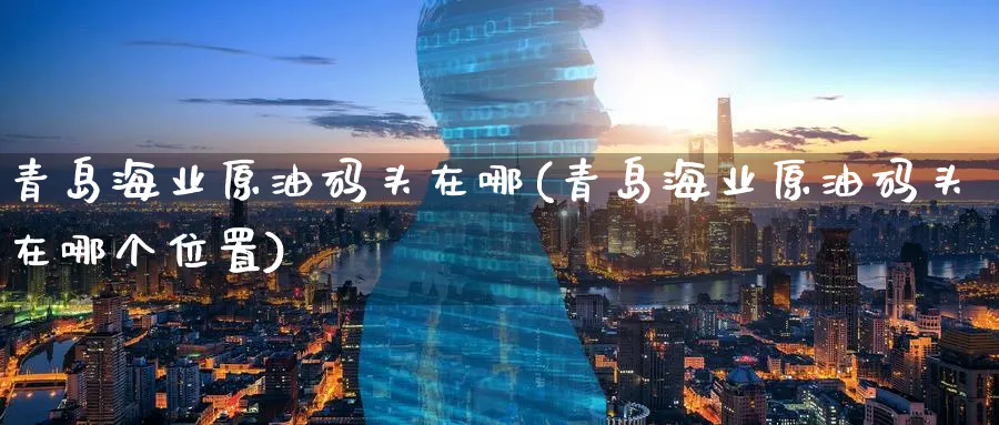 青岛海业原油码头在哪(青岛海业原油码头在哪个位置)_https://www.nyyysy.com_期货市场_第1张