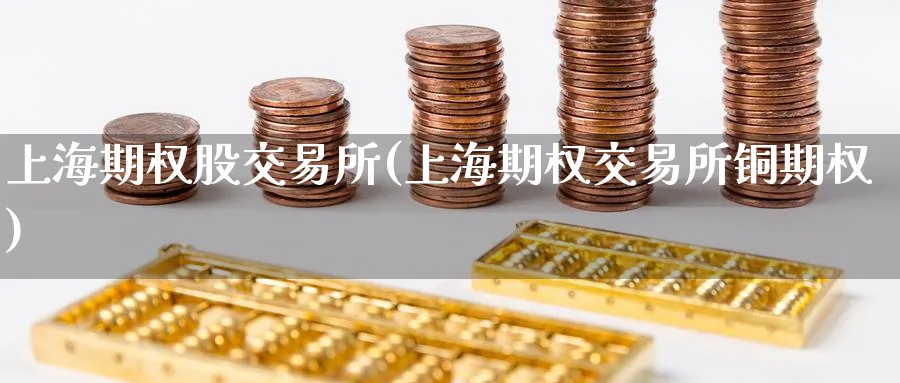 上海期权股交易所(上海期权交易所铜期权)_https://www.nyyysy.com_期货市场_第1张