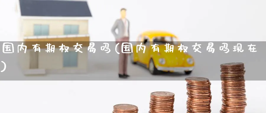 国内有期权交易吗(国内有期权交易吗现在)_https://www.nyyysy.com_期货喊单_第1张