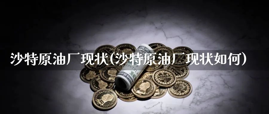 沙特原油厂现状(沙特原油厂现状如何)_https://www.nyyysy.com_期货直播_第1张