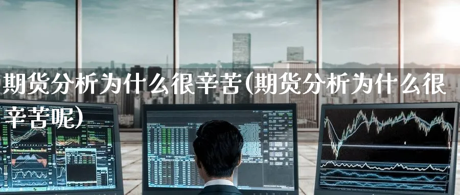 期货分析为什么很辛苦(期货分析为什么很辛苦呢)_https://www.nyyysy.com_期货市场_第1张