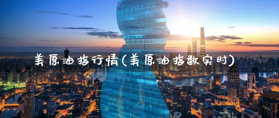 美原油指行情(美原油指数实时)_https://www.nyyysy.com_期货行情_第1张