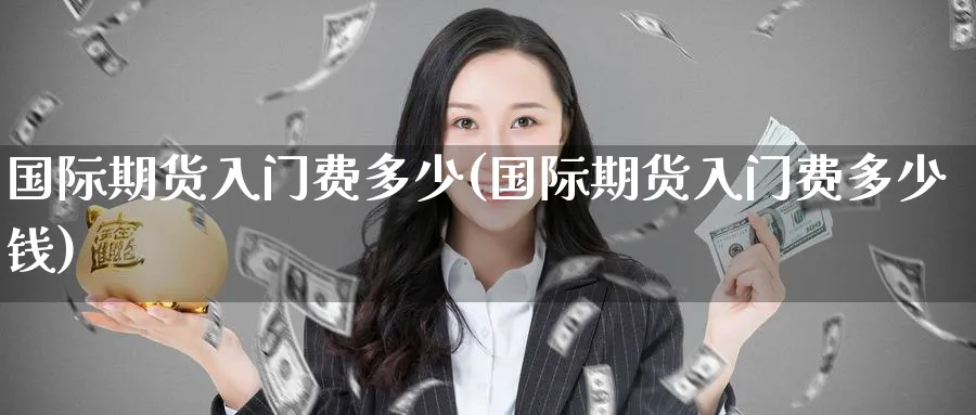 国际期货入门费多少(国际期货入门费多少钱)_https://www.nyyysy.com_期货平台_第1张