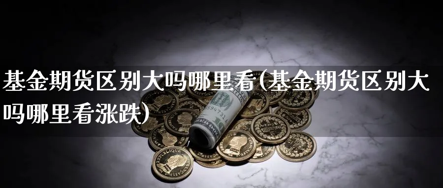基金期货区别大吗哪里看(基金期货区别大吗哪里看涨跌)_https://www.nyyysy.com_期货直播_第1张