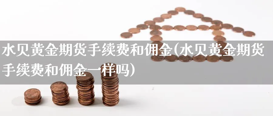 水贝黄金期货手续费和佣金(水贝黄金期货手续费和佣金一样吗)_https://www.nyyysy.com_期货行情_第1张