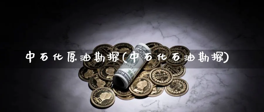 中石化原油勘探(中石化石油勘探)_https://www.nyyysy.com_期货市场_第1张