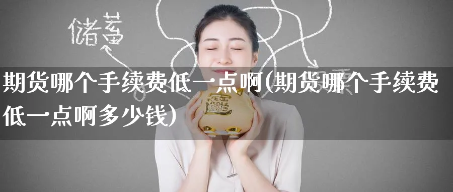 期货哪个手续费低一点啊(期货哪个手续费低一点啊多少钱)_https://www.nyyysy.com_期货平台_第1张