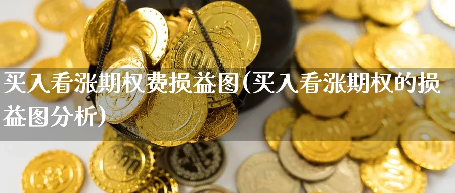买入看涨期权费损益图(买入看涨期权的损益图分析)_https://www.nyyysy.com_期货平台_第1张