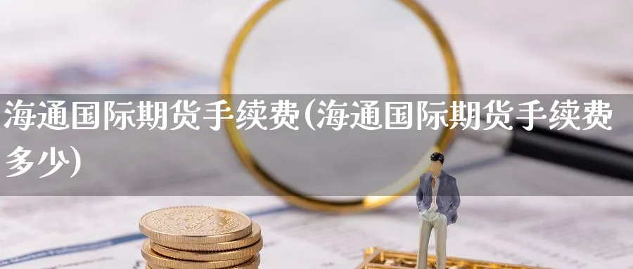 海通国际期货手续费(海通国际期货手续费多少)_https://www.nyyysy.com_期货分析_第1张