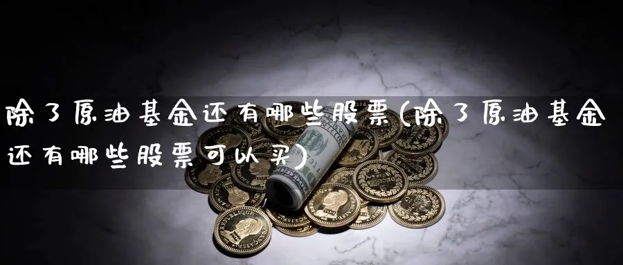 除了原油基金还有哪些股票(除了原油基金还有哪些股票可以买)_https://www.nyyysy.com_期货直播_第1张
