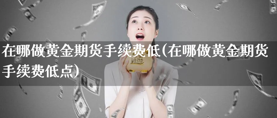 在哪做黄金期货手续费低(在哪做黄金期货手续费低点)_https://www.nyyysy.com_期货市场_第1张