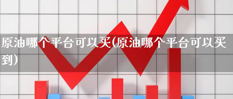 原油哪个平台可以买(原油哪个平台可以买到)_https://www.nyyysy.com_期货市场_第1张